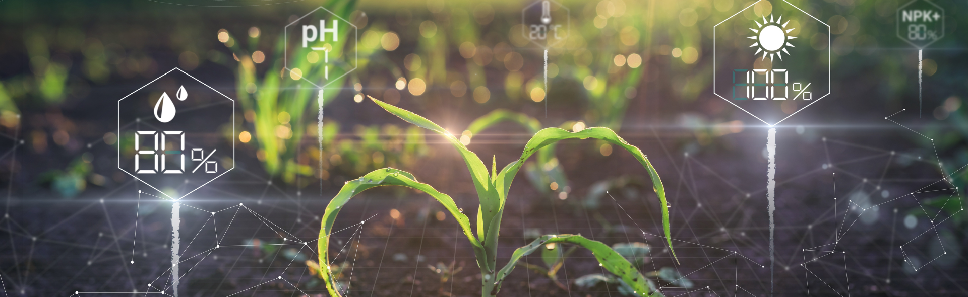 ALL_catalog_products_25K10_uJi6ijKgnV