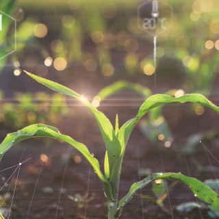 ALL_catalog_products_25K10_uJi6ijKgnV